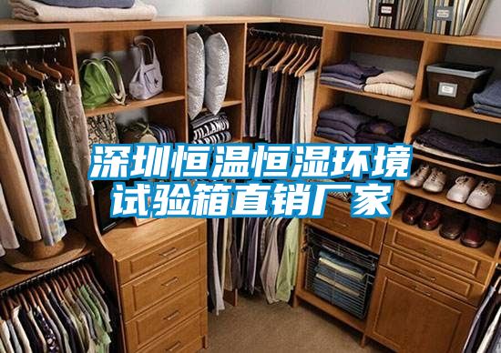 深圳恒溫恒濕環境試驗箱直銷廠家