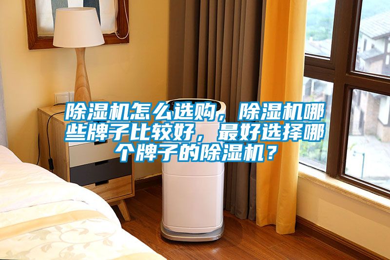 除濕機(jī)怎么選購(gòu)，除濕機(jī)哪些牌子比較好，最好選擇哪個(gè)牌子的除濕機(jī)？