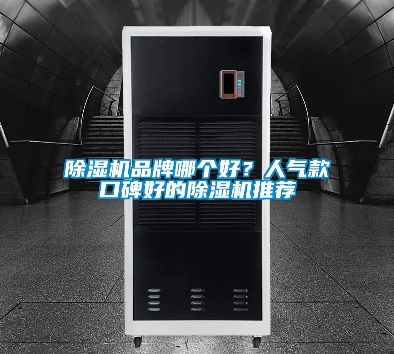 除濕機(jī)品牌哪個(gè)好？人氣款口碑好的除濕機(jī)推薦