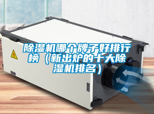 除濕機哪個牌子好排行榜（新出爐的十大除濕機排名）