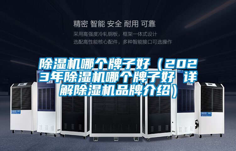 除濕機哪個牌子好（2023年除濕機哪個牌子好 詳解除濕機品牌介紹）