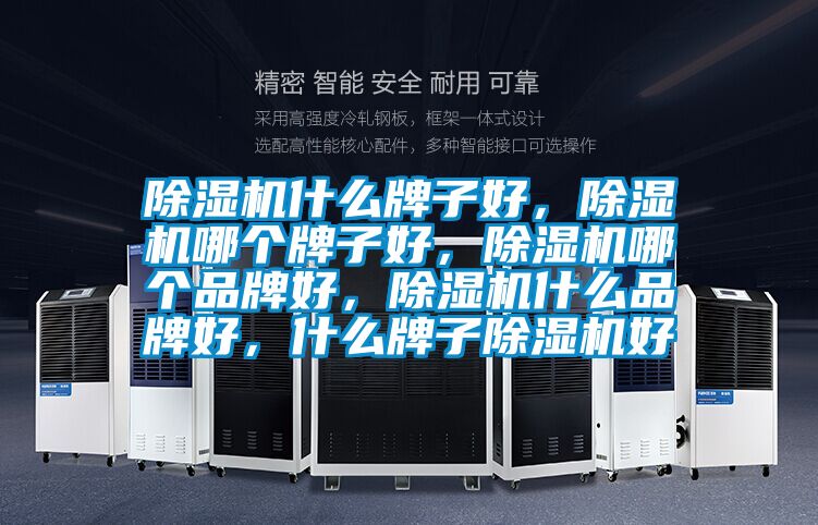 除濕機什么牌子好，除濕機哪個牌子好，除濕機哪個品牌好，除濕機什么品牌好，什么牌子除濕機好