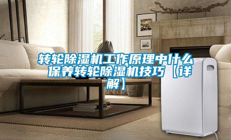 轉輪除濕機工作原理中什么 保養轉輪除濕機技巧【詳解】