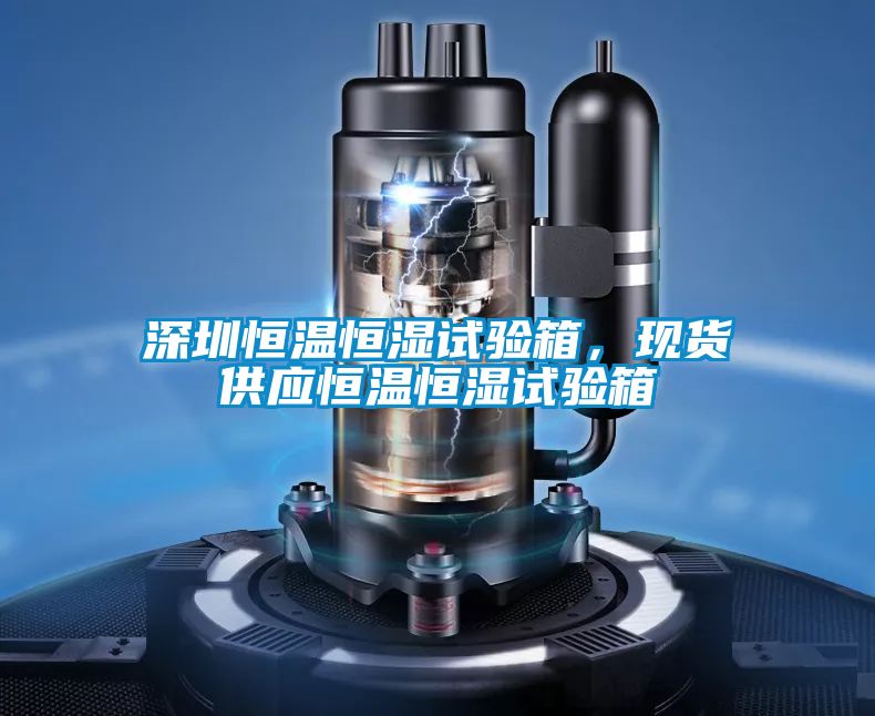 深圳恒溫恒濕試驗(yàn)箱，現(xiàn)貨供應(yīng)恒溫恒濕試驗(yàn)箱