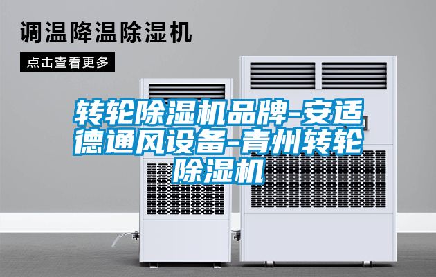 轉輪除濕機品牌-安適德通風設備-青州轉輪除濕機