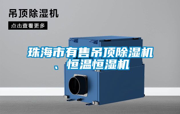 珠海市有售吊頂除濕機、恒溫恒濕機