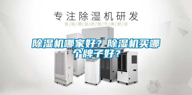 除濕機哪家好？除濕機買哪個牌子好？