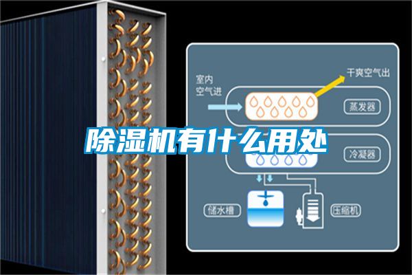 除濕機有什么用處
