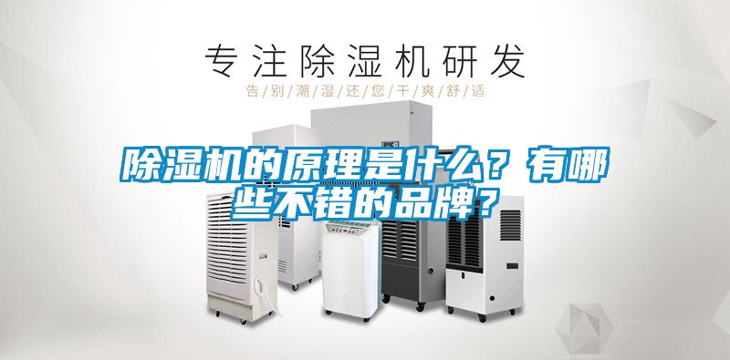 除濕機的原理是什么？有哪些不錯的品牌？
