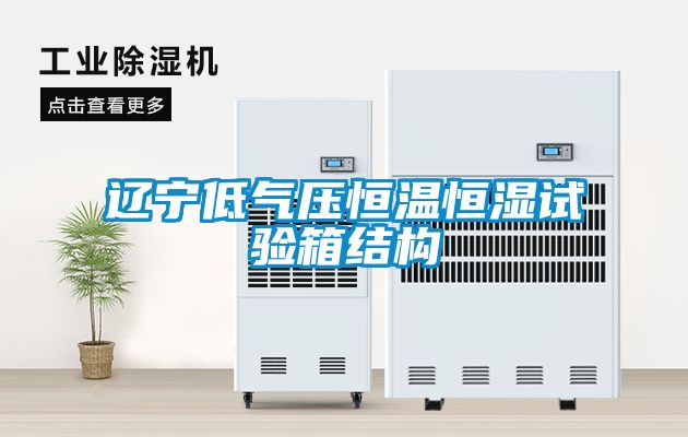 遼寧低氣壓恒溫恒濕試驗箱結構