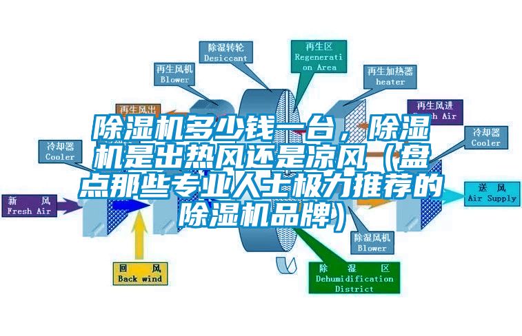 除濕機多少錢一臺，除濕機是出熱風還是涼風（盤點那些專業人士極力推薦的除濕機品牌）