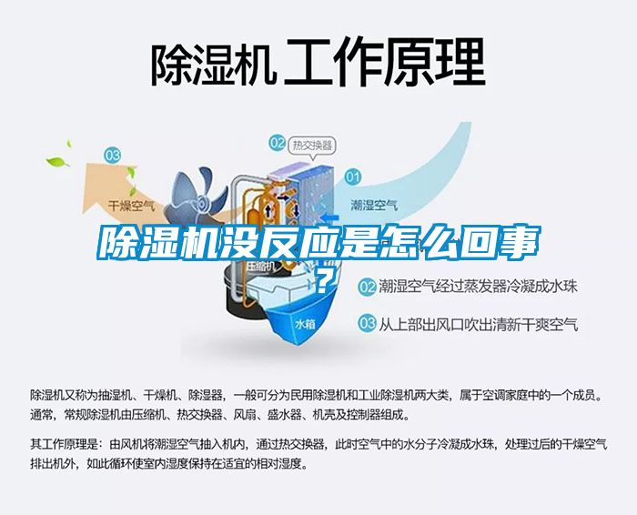 除濕機(jī)沒(méi)反應(yīng)是怎么回事？