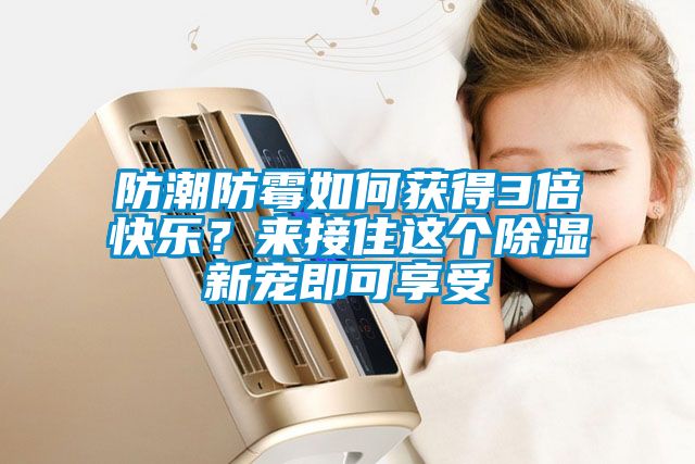 防潮防霉如何獲得3倍快樂？來接住這個除濕新寵即可享受