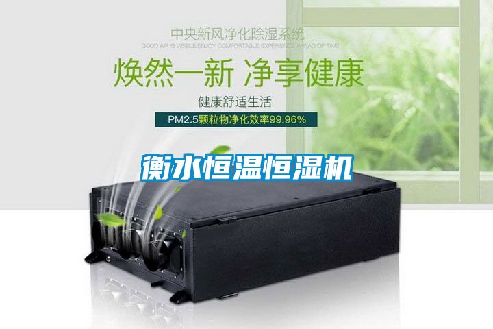 衡水恒溫恒濕機(jī)