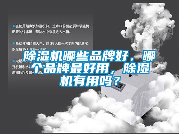 除濕機哪些品牌好，哪個品牌最好用，除濕機有用嗎？
