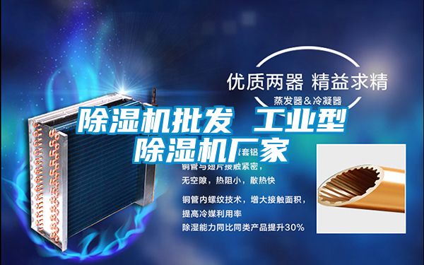 除濕機批發 工業型除濕機廠家