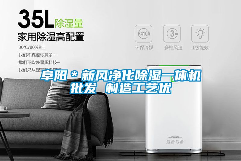 阜陽＊新風凈化除濕一體機批發 制造工藝優