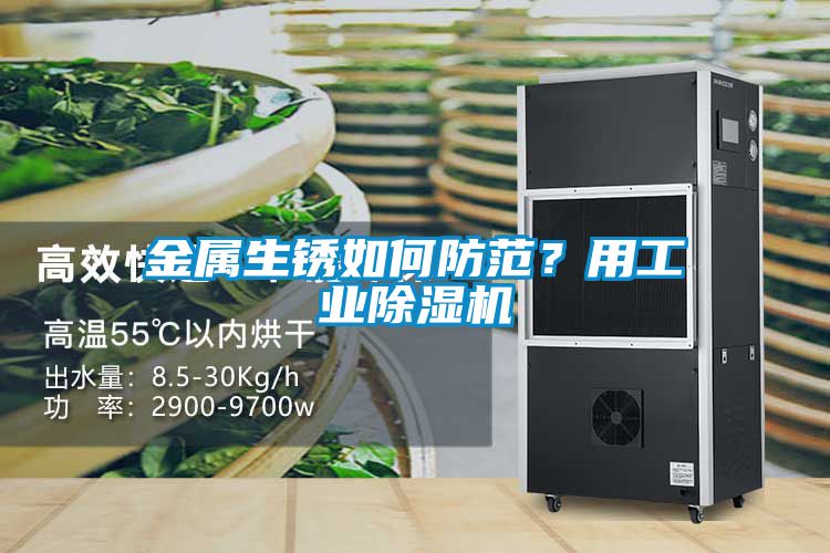 金屬生銹如何防范？用工業除濕機