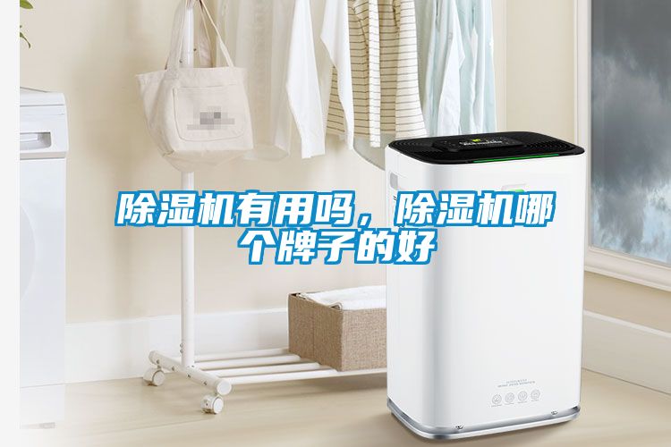 除濕機有用嗎，除濕機哪個牌子的好