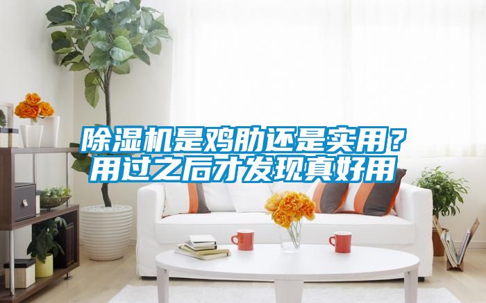 除濕機是雞肋還是實用？用過之后才發(fā)現(xiàn)真好用