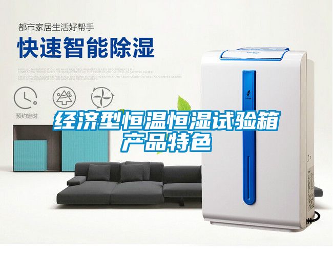 經(jīng)濟(jì)型恒溫恒濕試驗箱產(chǎn)品特色