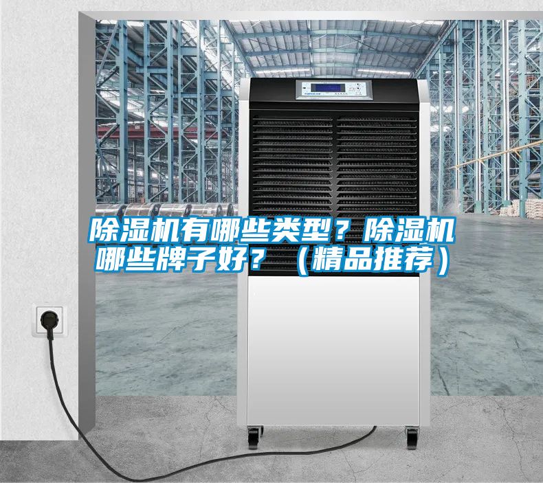 除濕機有哪些類型？除濕機哪些牌子好？（精品推薦）