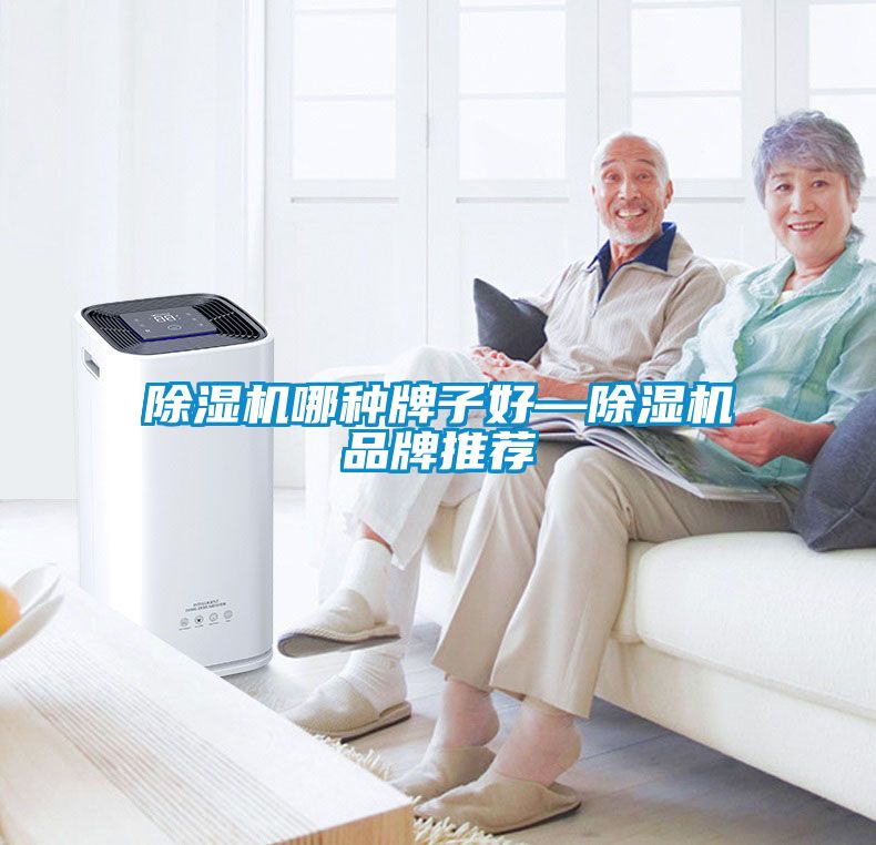 除濕機哪種牌子好—除濕機品牌推薦
