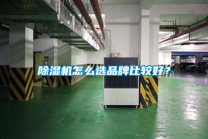 除濕機(jī)怎么選品牌比較好？