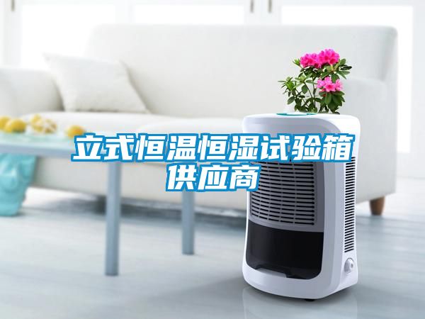 立式恒溫恒濕試驗箱供應商