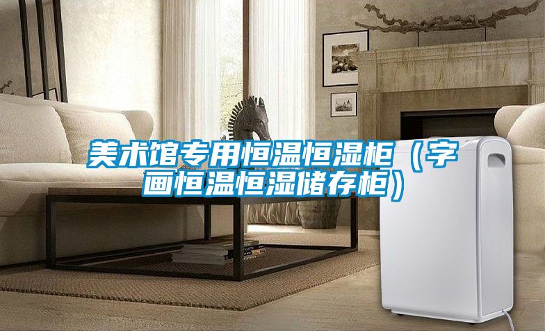 美術館專用恒溫恒濕柜（字畫恒溫恒濕儲存柜）