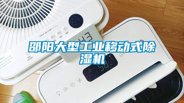邵陽(yáng)大型工業(yè)移動(dòng)式除濕機(jī)