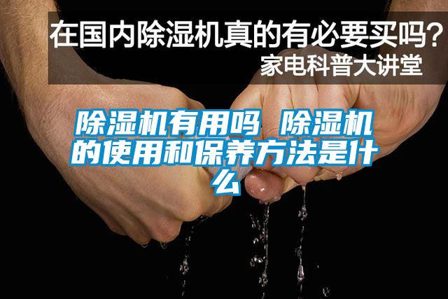 除濕機有用嗎 除濕機的使用和保養方法是什么