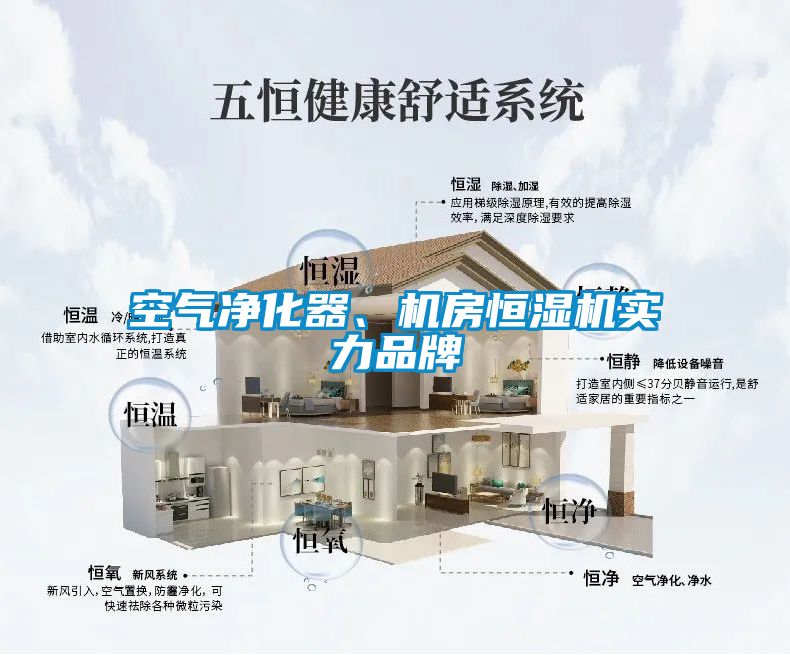 空氣凈化器、機房恒濕機實力品牌