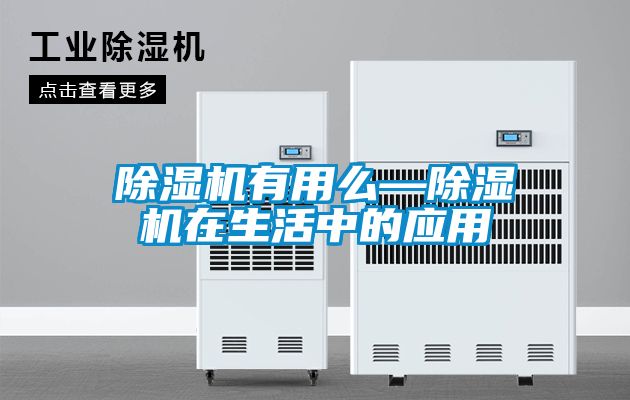 除濕機有用么—除濕機在生活中的應用
