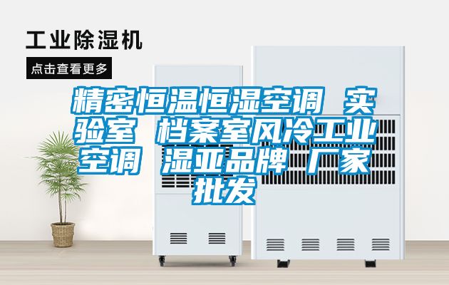 精密恒溫恒濕空調(diào) 實驗室 檔案室風(fēng)冷工業(yè)空調(diào) 濕亞品牌 廠家批發(fā)