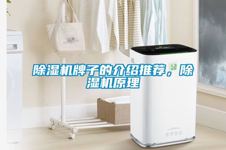 除濕機(jī)牌子的介紹推薦，除濕機(jī)原理