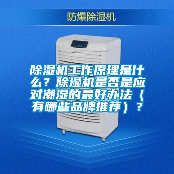 除濕機(jī)工作原理是什么？除濕機(jī)是否是應(yīng)對(duì)潮濕的最好辦法（有哪些品牌推薦）？