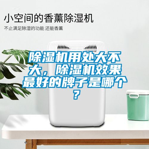 除濕機(jī)用處大不大，除濕機(jī)效果最好的牌子是哪個？