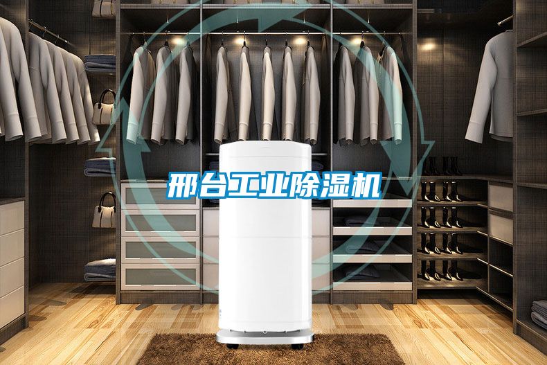 邢臺工業除濕機