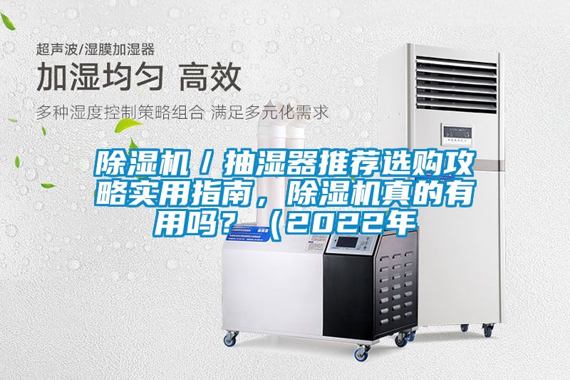 除濕機／抽濕器推薦選購攻略實用指南，除濕機真的有用嗎？（2022年