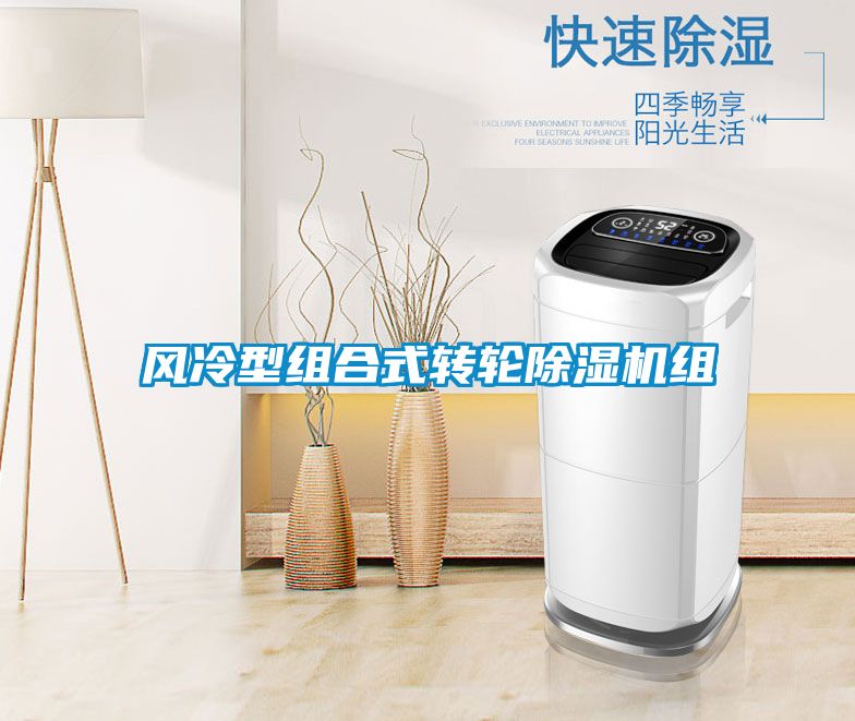 風冷型組合式轉輪除濕機組