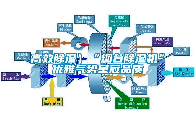 高效除濕）“煙臺除濕機”優雅氣勢皇冠品質