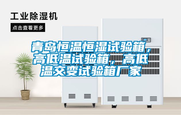青島恒溫恒濕試驗箱，高低溫試驗箱，高低溫交變試驗箱廠家