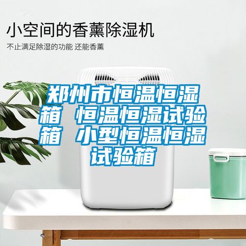 鄭州市恒溫恒濕箱 恒溫恒濕試驗箱 小型恒溫恒濕試驗箱
