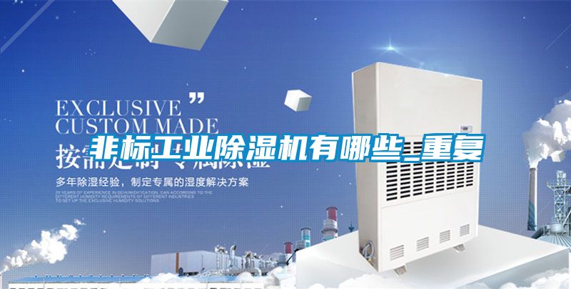 非標工業除濕機有哪些_重復