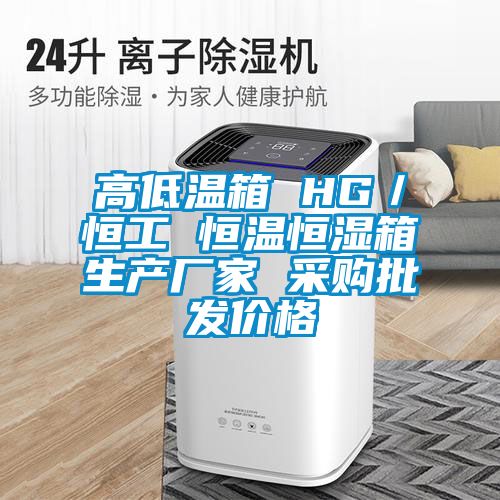 高低溫箱 HG／恒工 恒溫恒濕箱生產(chǎn)廠家 采購批發(fā)價(jià)格