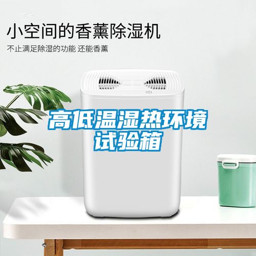 高低溫濕熱環境試驗箱