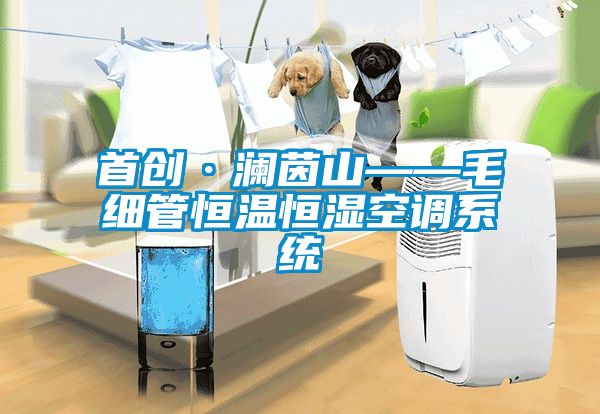 首創·瀾茵山——毛細管恒溫恒濕空調系統