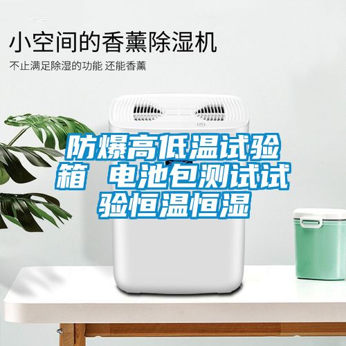 防爆高低溫試驗箱 電池包測試試驗恒溫恒濕