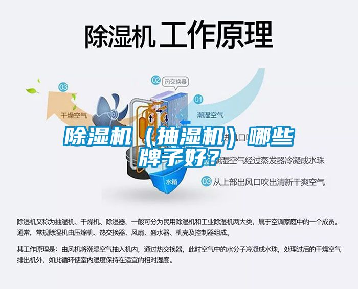 除濕機（抽濕機）哪些牌子好？